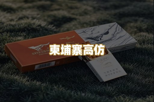 柬埔寨高仿